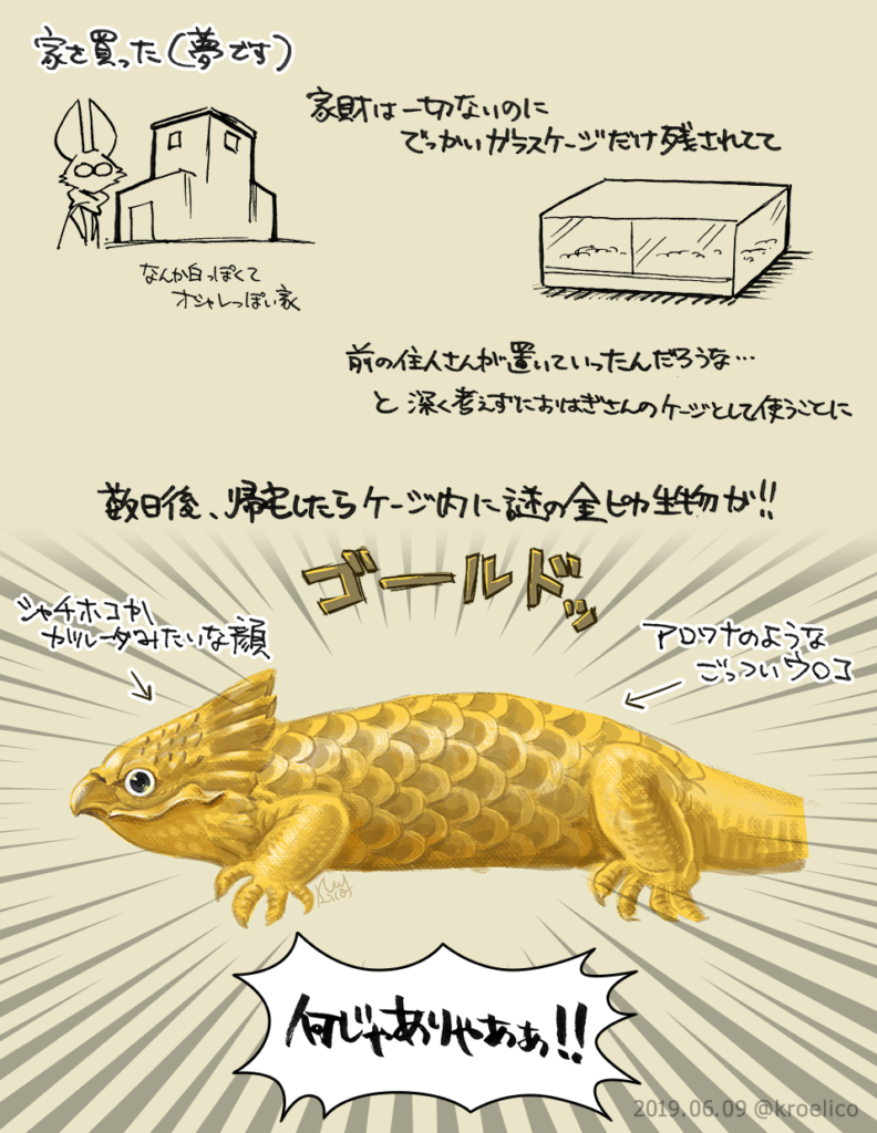 ゴールドさん登場