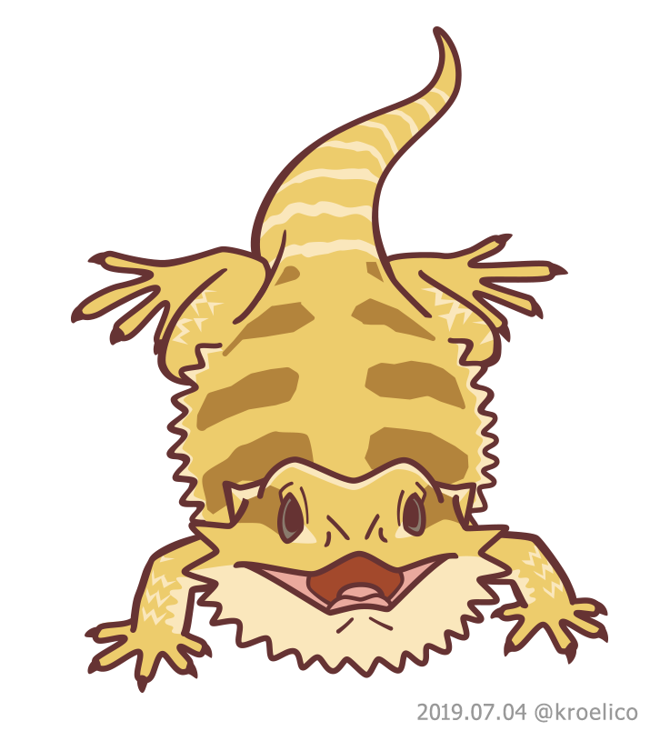 フトアゴヒゲトカゲ