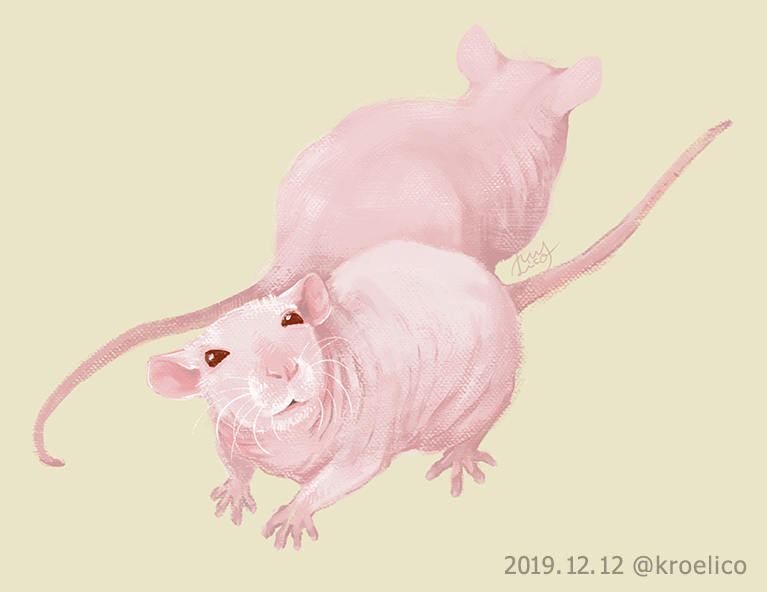 スキニーラット